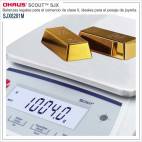 Balanza Verificada 6200gr./ 0,1gr. OHAUS